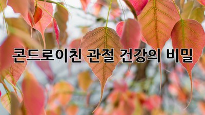 콘드로이친: 관절 건강의 비밀