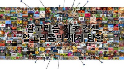 알고리즘 기초: 검색 알고리즘의 세계 탐험