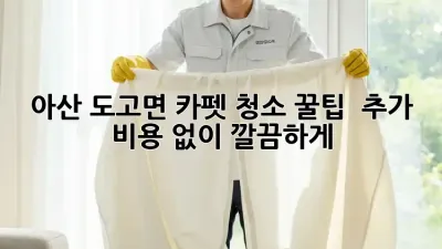 아산 도고면 카펫 청소 꿀팁🍯 : 추가 비용 없이 깔끔하게!