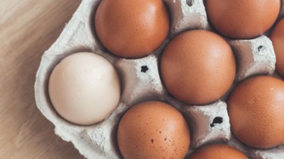 탱탱한훈제계란 30구🥚✨: 솔직 후기 & 득템 비법 大공개!